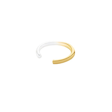 Dip Dye Hook Earring - Silver/Gold