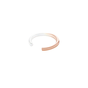 Dip Dye Hook Earring - Silver/Rose Gold